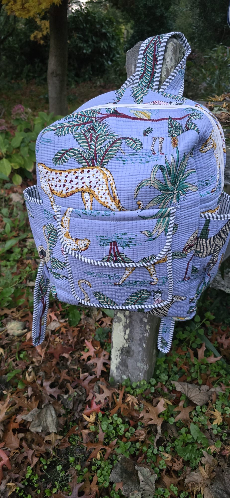 Backpack (Light Blue Cheeter)